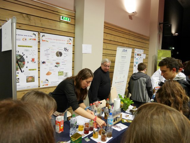 Stands St Nazaire